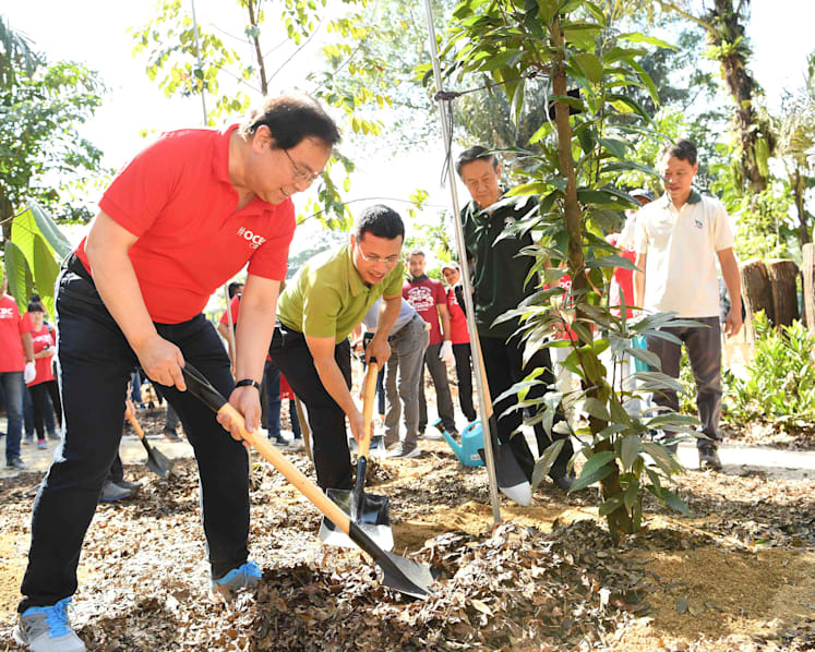 OCBC invests S$4 million to build high-tech research forest at Singapore Botanic Gardens
