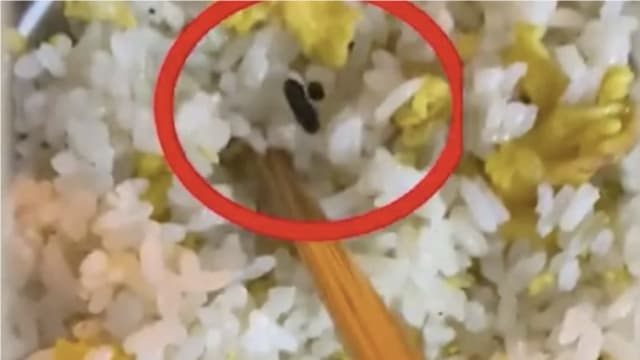 炒饭惊见老鼠屎 老板辩是“炒焦饭粒”一口吃掉