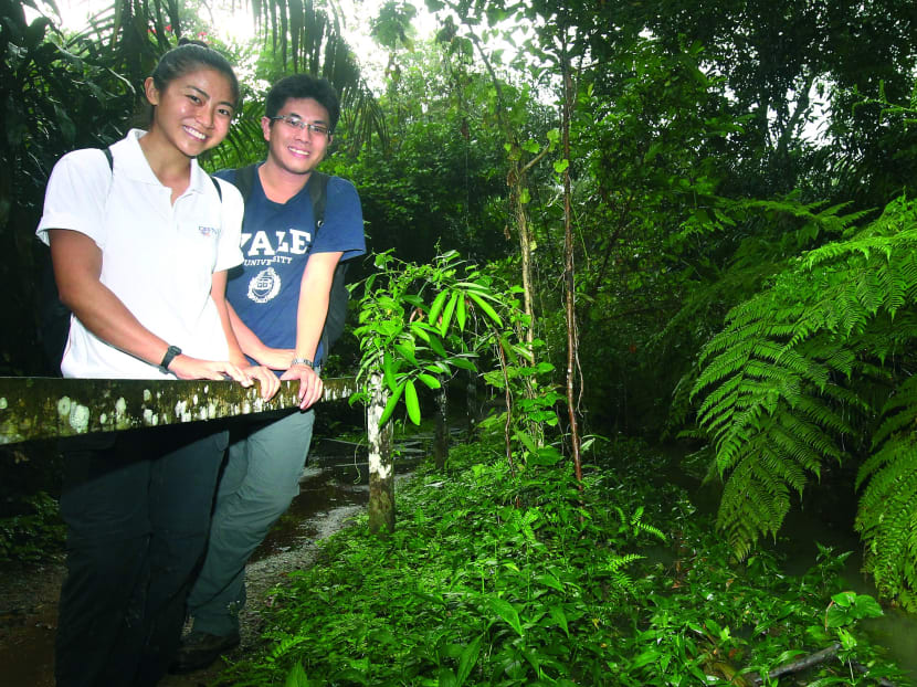 Raffles Museum Toddycats Chloe Tan and David Tan at the Venus Loop, a path that leads into MacRitchie Reservoir. The young volunteers manage the Love Our MacRitchie Forest website and are pictured beside one of the streams -- home to creatures like the forest walking catfish and Johnson’s freshwater crab -- that nature groups are concerned that the future Cross Island MRT line could impact....Photo: Ernest Chua. 26 Dec 2013.