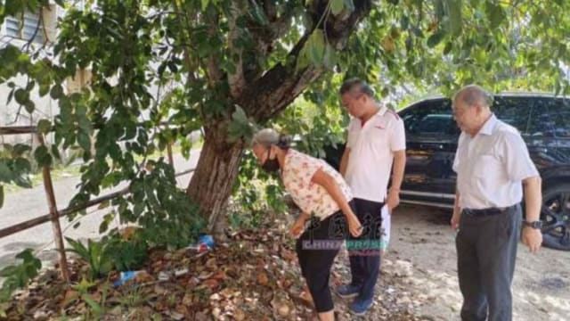 接电话叫她到树下取手机 马国老妇被骗逾15万元存款
