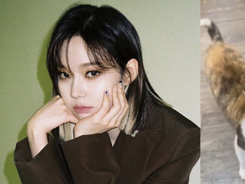 Netizens Accuse Korean Girl Group Member Of Animal Abuse 'Cos Of This Five-Second Video