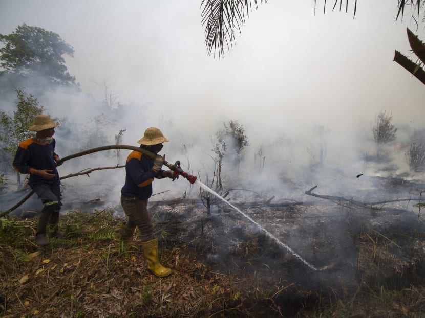 Firefighters extinguish a peatland fire in Palangkaraya, Central Kalimantan on Sept 12, 2019. Indonesian citizens, and those of neighbouring Southeast Asian countries, have long suffered recurring haze pollution from peatland fires in Indonesia. Firefighters extinguish a peatland fire in Palangkaraya, Central Kalimantan on Sept 12, 2019. Indonesian citizens, and those of neighbouring Southeast Asian countries, have long suffered recurring haze pollution from peatland fires in Indonesia.