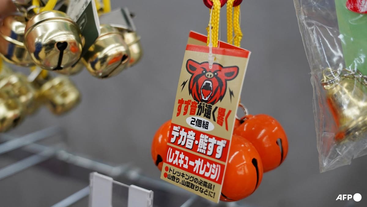 Japan confirms year's first fatal bear attack, two others suspected
