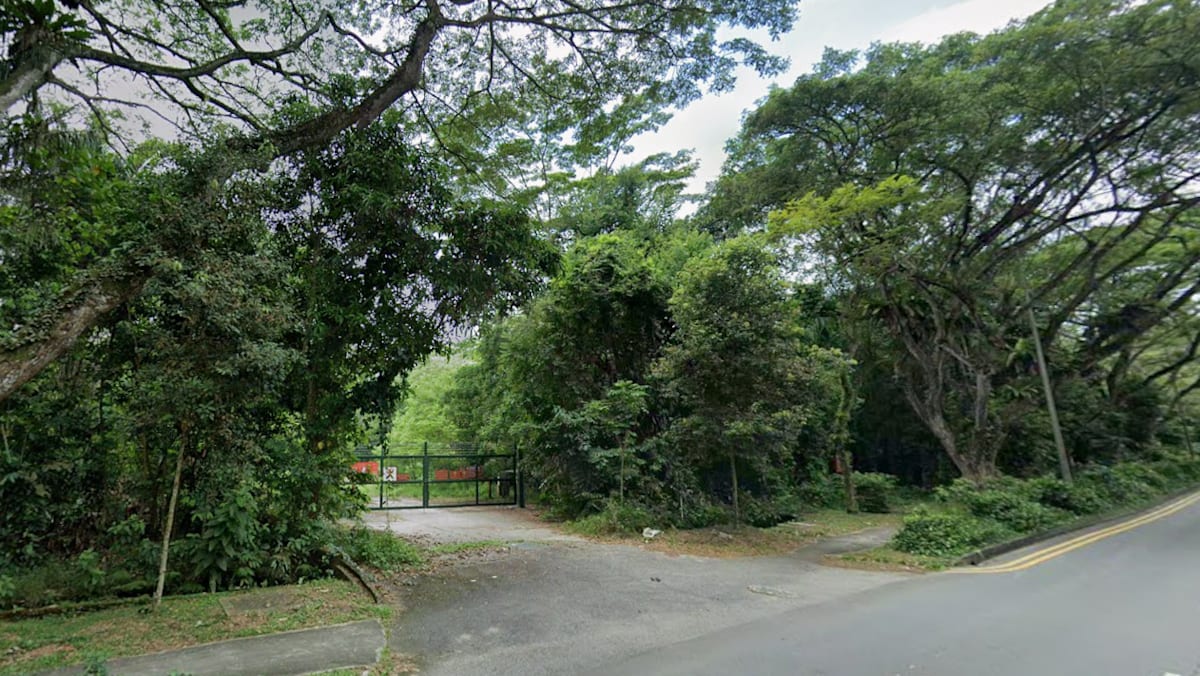 No current plans to designate Tagore forest as a nature reserve: Chee Hong Tat