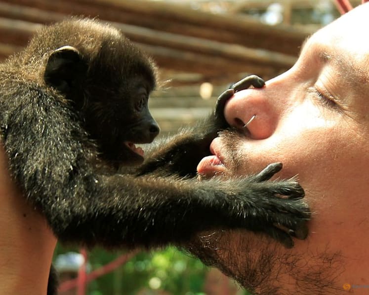 First kiss was 20 million years ago by early primates, scientists say