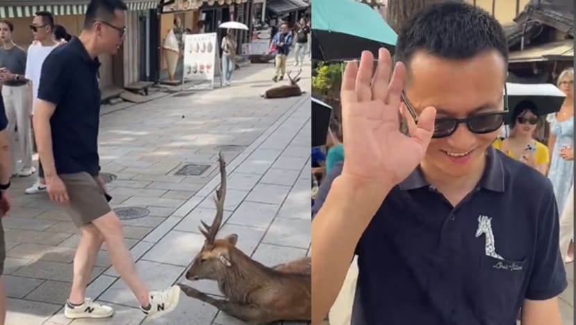 Male Tourist Scolded After Getting Caught Using Feet To Disturb Deer In Nara Japan Male Tourist Scolded After Getting Caught Using Feet To Disturb Deer In Nara Japan