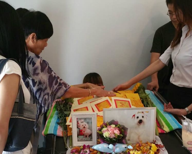 Saying goodbye: Owners go the extra mile for their pet’s final journey