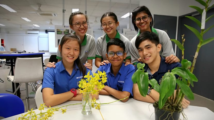 Students see their own ‘growth’ through school’s orchid hybrid programme