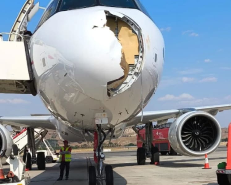 Bird strike damages nose of Iberia plane, forces emergency landing