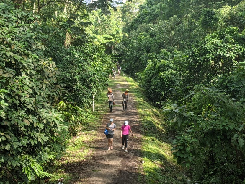 The features along the 4km stretch include eight new or improved entry points and more user-friendly paths for visitors.