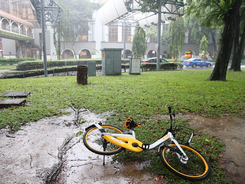 Locking horns over orderly parking of dockless bikes