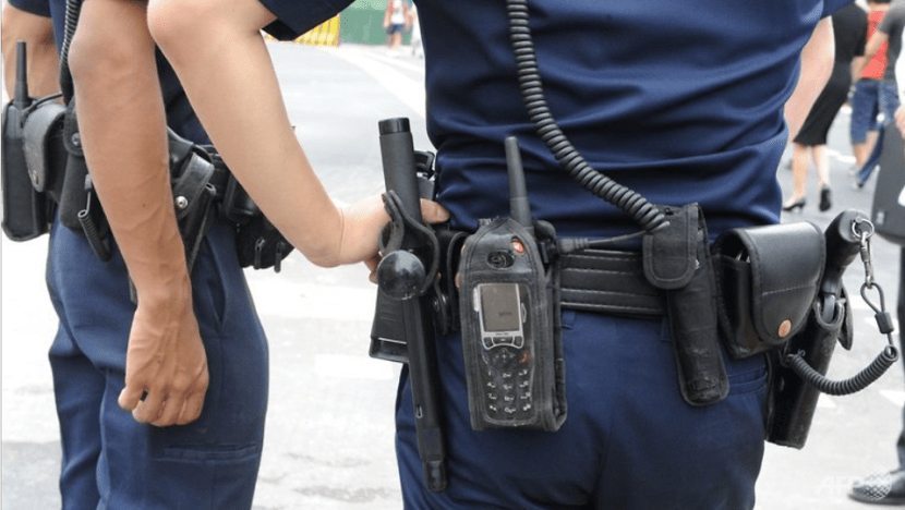 Police investigating 2 teenagers for allegedly vandalising government property as part of 'devious licks' challenge Police investigating 2 teenagers for allegedly vandalising government property as part of 'devious licks' challenge