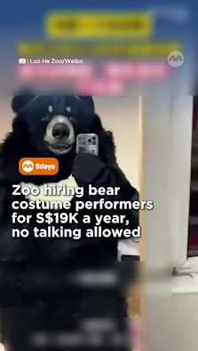 Plus points for being as whimsical as possible. 🐻 #8dayssg #8dayssgtrending #zoo #blackbear #jobapplication 