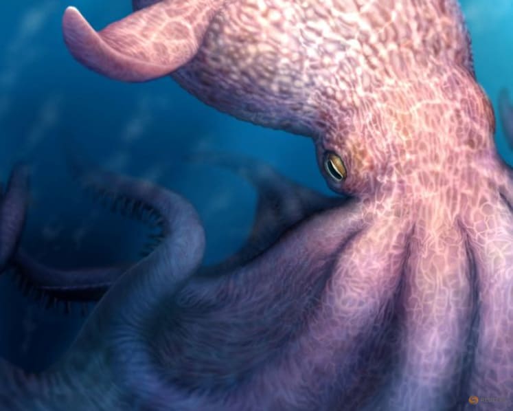 'Cretaceous Kraken' prowled the seas during the age of dinosaurs