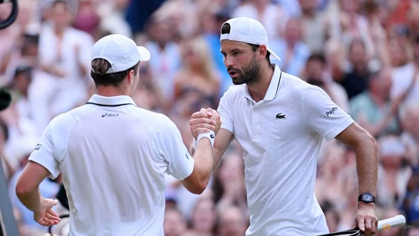 Briton Fery downs Dimitrov in battle of the wildcards