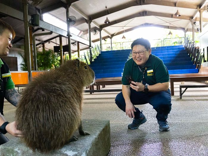 After nearly 3 decades on the job, this zoo veteran says 'animals are so much smarter than people'