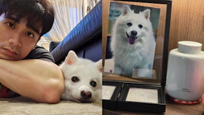 Joel Choo Heartbroken After Beloved Dog Dies From Bone Marrow Cancer