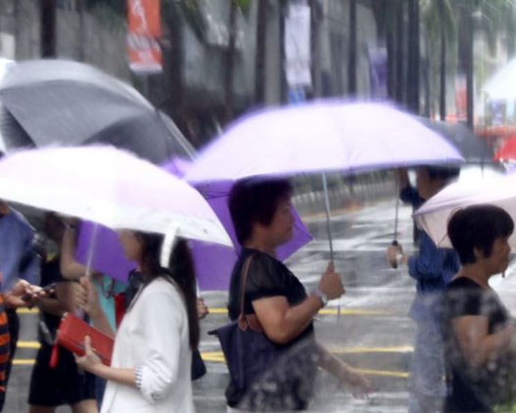 Shared umbrellas? Student initiative is full of 'dried-and-tested' ideas