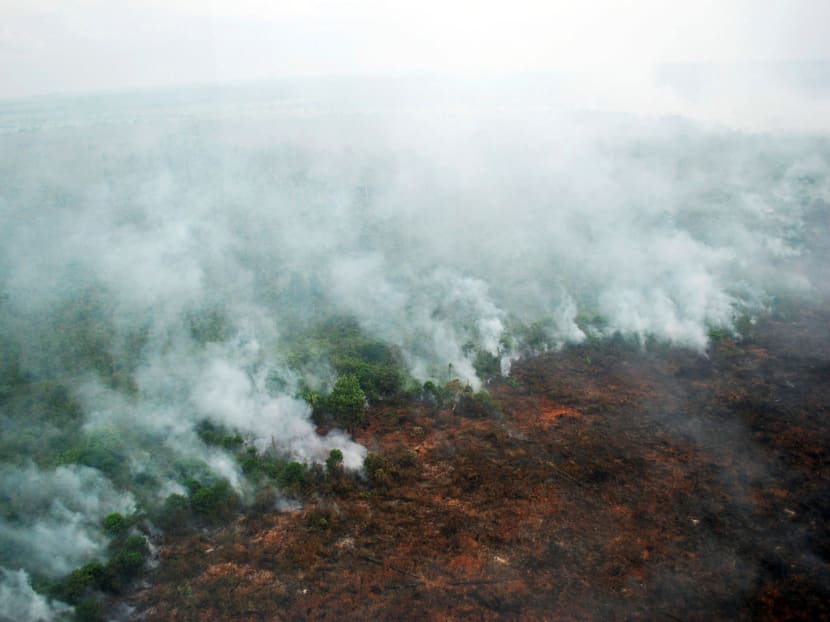 A forest fire is seen burning from a helicopter belonging to the Indonesian National Board of Disaster Management in Pelalawan, Riau province on Sumatra on June 10, 2016. Photo: ANTARA FOTO VIA REUTERS