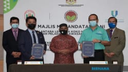 Related article image