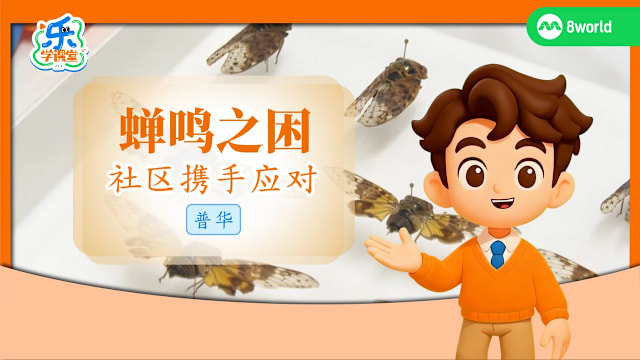 【普华】蝉鸣之困　社区携手应对