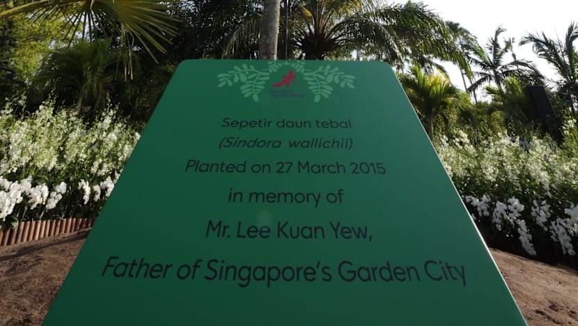 Gardens by the Bay plants tree in memory of Mr Lee Kuan Yew