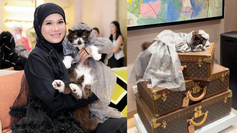 M’sian Businesswoman Celebrates Her Cat’s Birthday At Louis Vuitton Store M’sian Businesswoman Celebrates Her Cat’s Birthday At Louis Vuitton Store