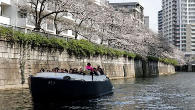 东京樱花季游船业承压 成本上涨成挑战