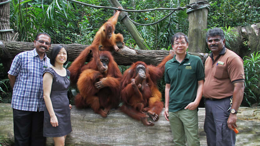 Mr Lee Kuan Yew wanted a zoo as successful as Singapore