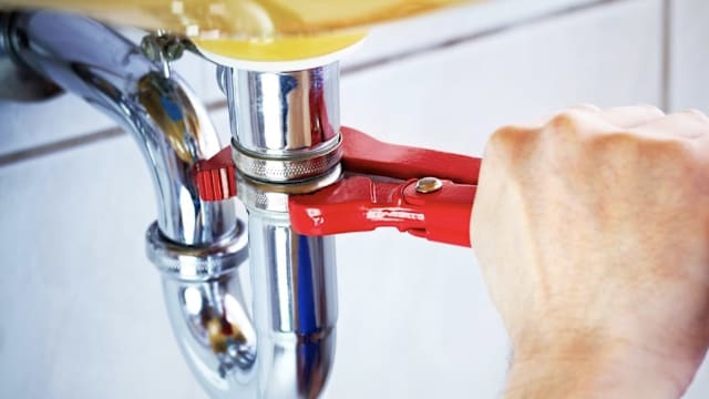 拉脱维亚男女性别失衡严重 女性“租老公”做家务