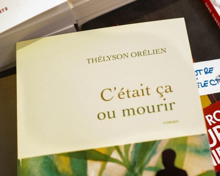 France's prestigious Goncourt prize drops novel after author accused of using AI