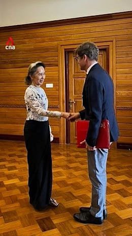 Myanmar's Aung San Suu Kyi meets Red Cross official, appears in good health: Son