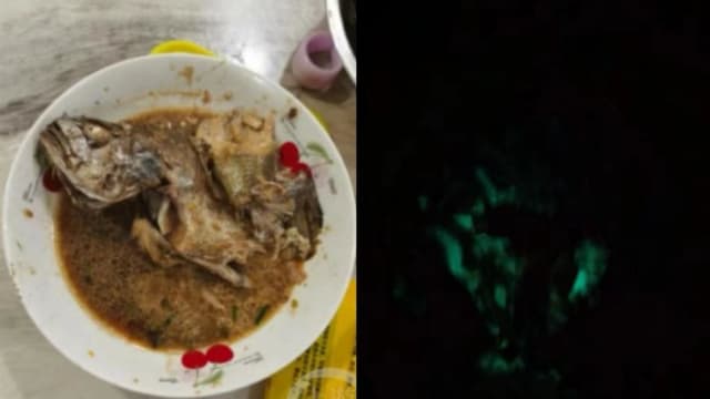 浙江大妈煮红烧鱼 吃剩的鱼半夜泛荧光