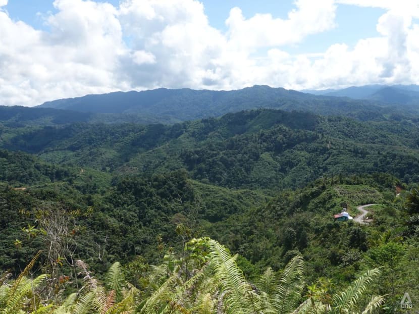 Sabah 100-year carbon trading deal: Controversy as indigenous communities bemoan lack of consultation, details