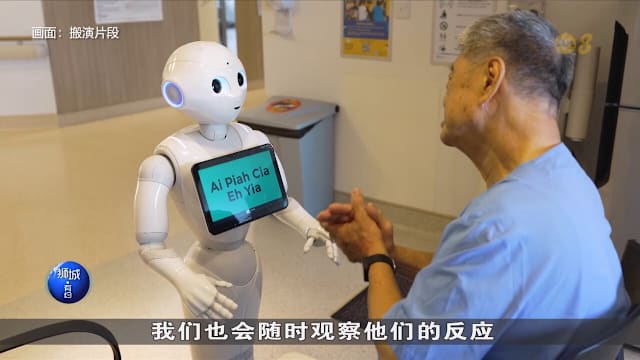 狮城有约 | 失智患者发脾气 机器人怎么让他们息怒？