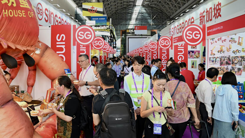 From ‘red ocean’ to ‘blue ocean’: Why Singaporean firms are exploring Nanning to enter China’s market