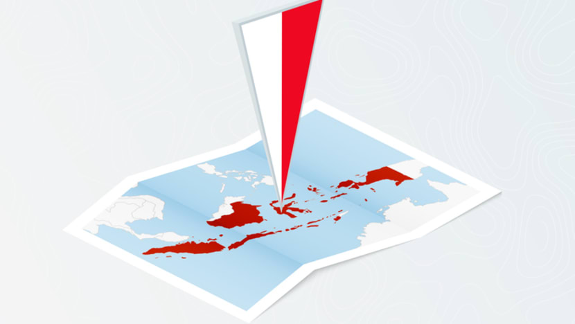 Tiru India, pemerintah siapkan aturan permudah diaspora Indonesia balik ke tanah air