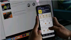 Related article image