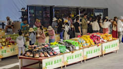 Related article image