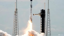 Related article image