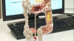 Related article image