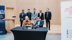 Related article image