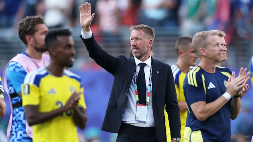 Even 'perfect' may not have toppled France, says Sweden coach Potter