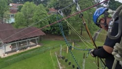 Related article image