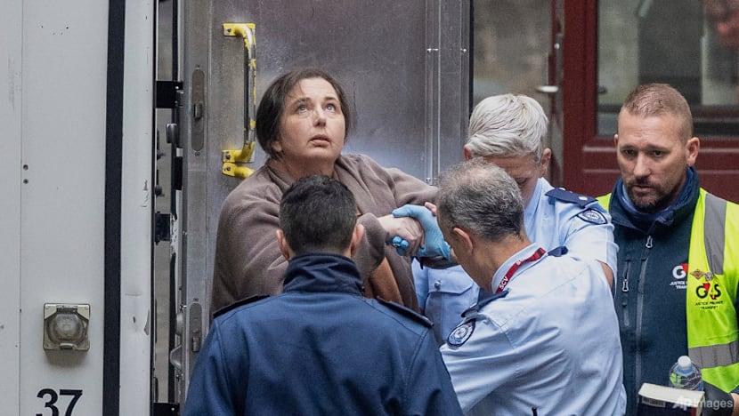 Erin Patterson returns to court to appeal mushroom-murder convictions and sentence