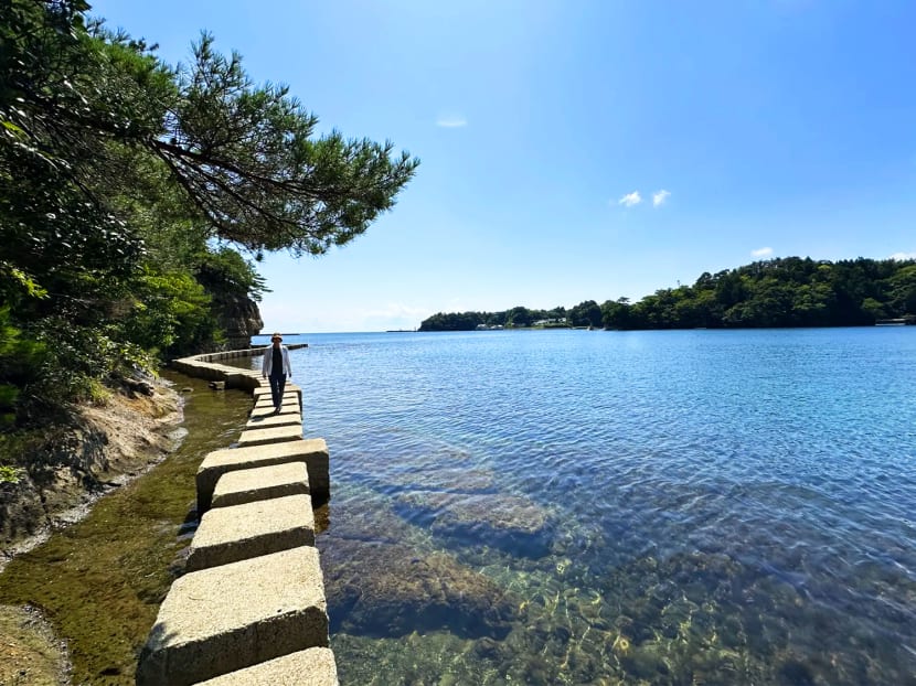 How a new tour is bringing hope to earthquake-struck Noto Peninsula in Japan