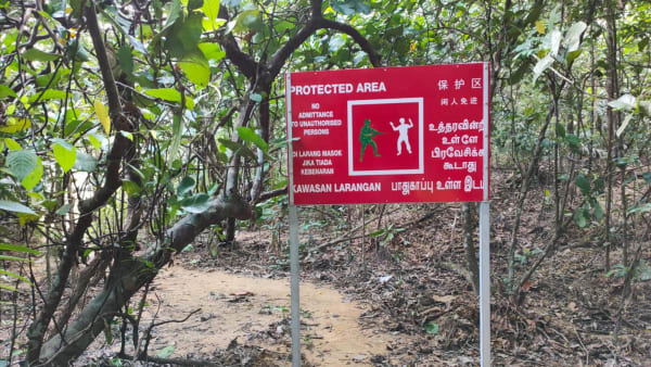 Man suffers gunshot wound while cycling in restricted forested area near SAF live-firing activity