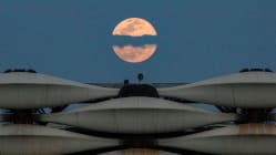 Related article image