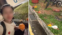 “Fruit In S’pore Is Expensive”: Chinese Woman Picks Up Hungry Ghost Month Offerings To Eat 