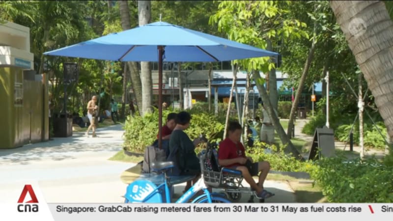 Singapore climate report 2025: Wettest March; hottest June and November ever on record 